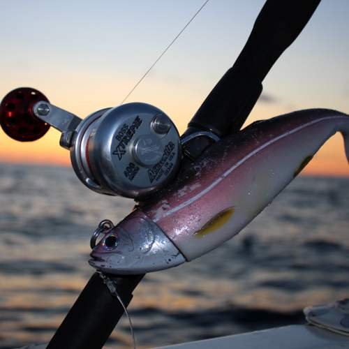 Fishing