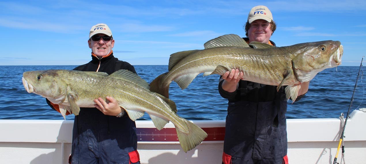 Island ProFishing Bild