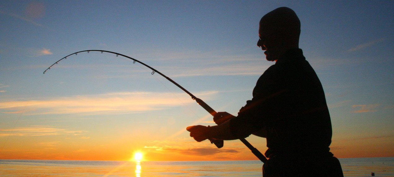 Island ProFishing Bild