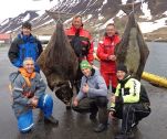 Island ProFishing Bild Island ProFishing Bild