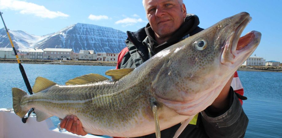 Island ProFishing