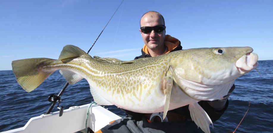 Island ProFishing